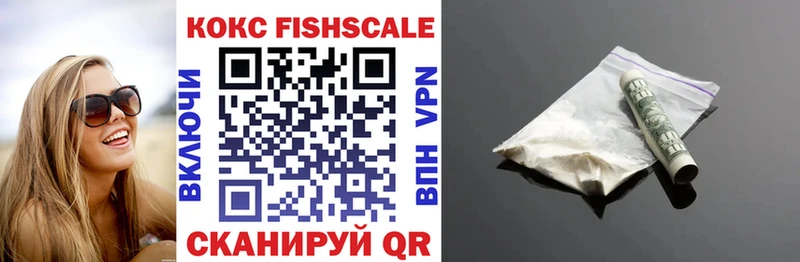 Cocaine Fish Scale  где купить наркоту  Заринск 