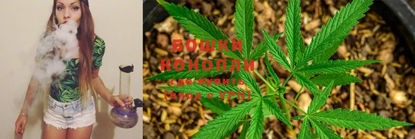 гашишное масло Михайлов