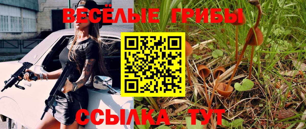 Псилоцибиновые грибы мицелий  Заринск 