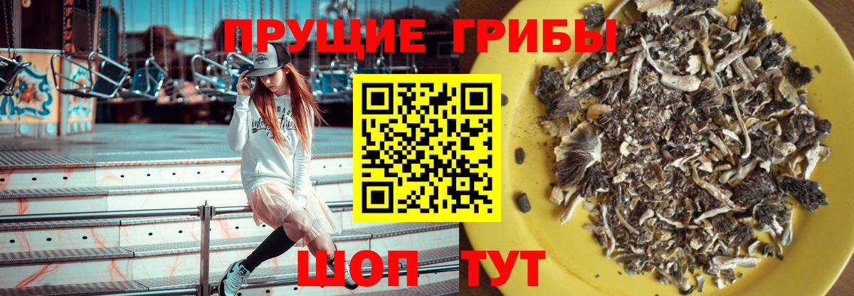 Заринск  Псилоцибиновые грибы MAGIC MUSHROOMS  Вход с VPN 